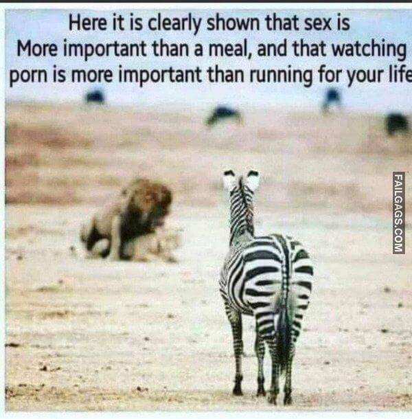Adult Dirty Memes 3