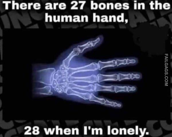 Adult Memes About Playing With Yourself 11