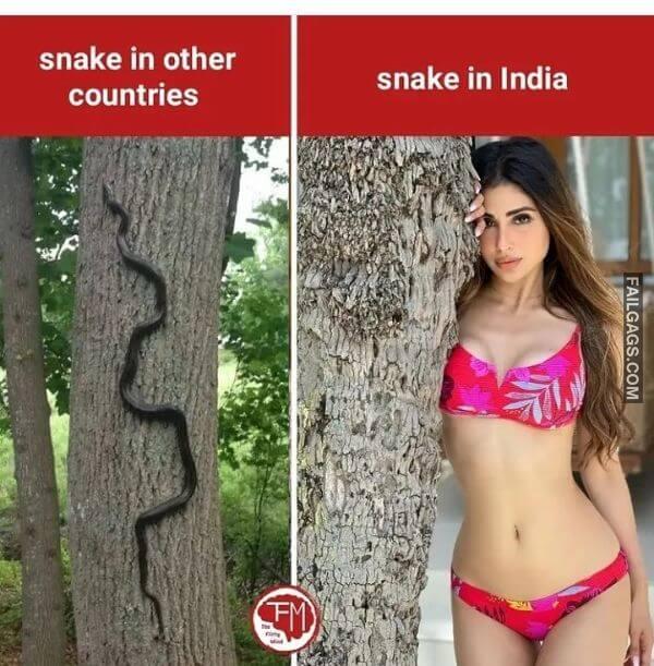 Dirty Double Meaning Indian Memes 3