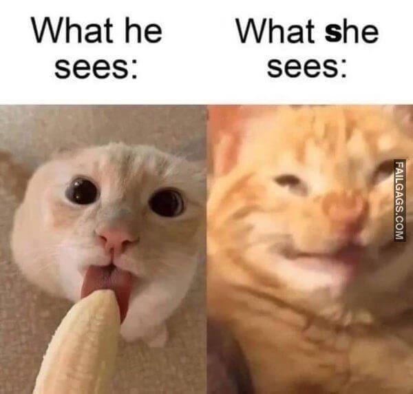 Funny Adult Memes 1 2