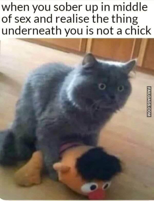 Funny Adult Memes 13 1