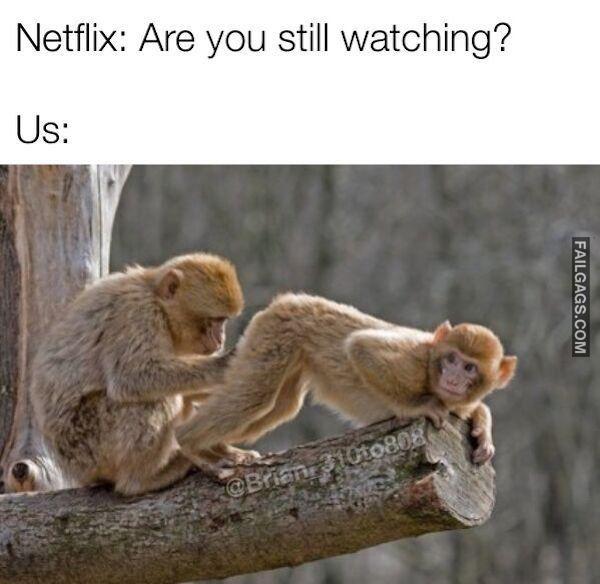 Funny Adult Memes 3
