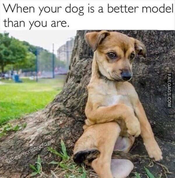 Funny So True Memes 12