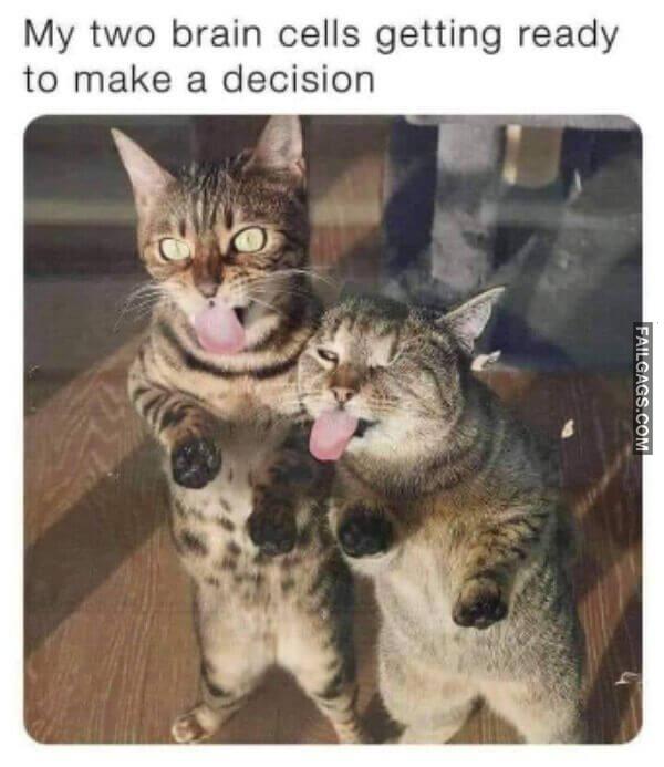 Funny So True Memes 6