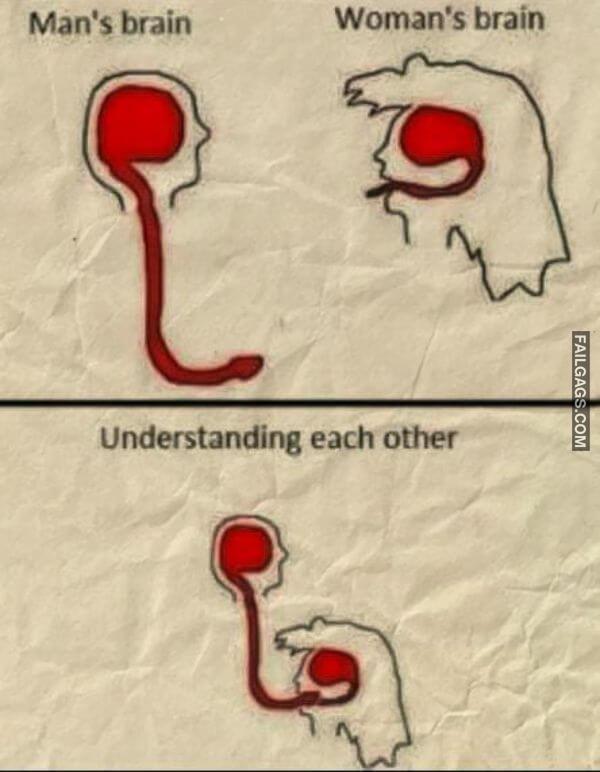 Mans Brain Womans Brain Understanding Each Other Funny Sex Memes