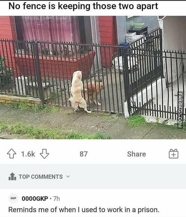 No Fence Is Keeping Those Two Apart Funny Dirty Memes