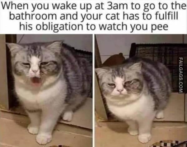 Random Funny Memes 1 12