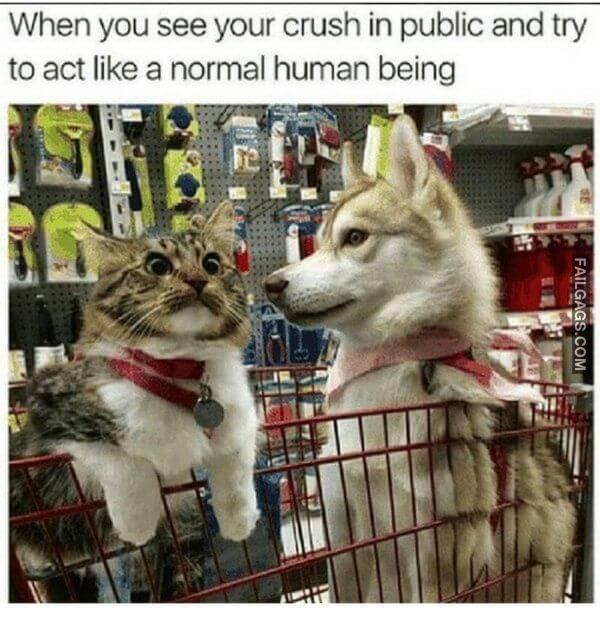 Random Funny Memes 10 1