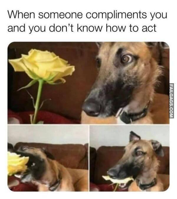 Random Funny Memes 10 9