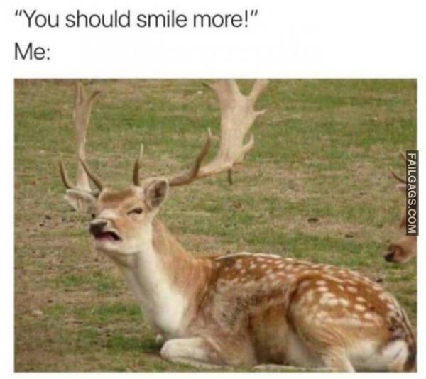 Random Funny Memes 11 9
