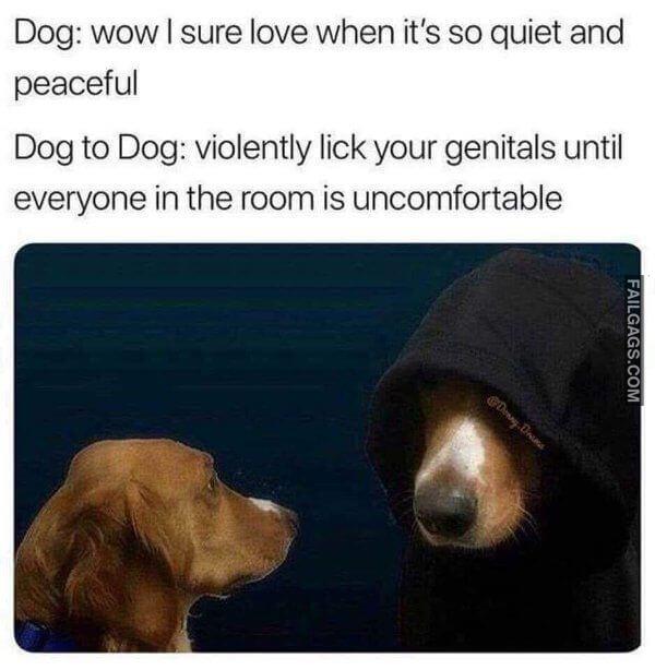 Random Funny Memes 13