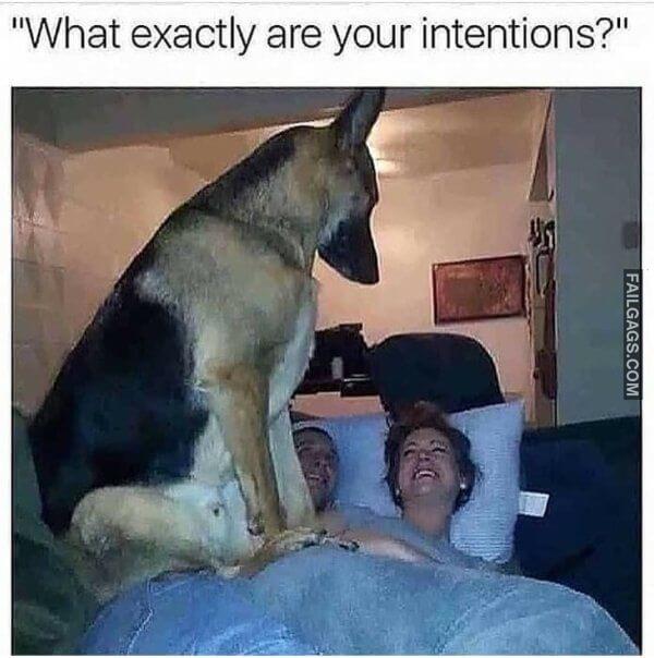 Random Funny Memes 14 1