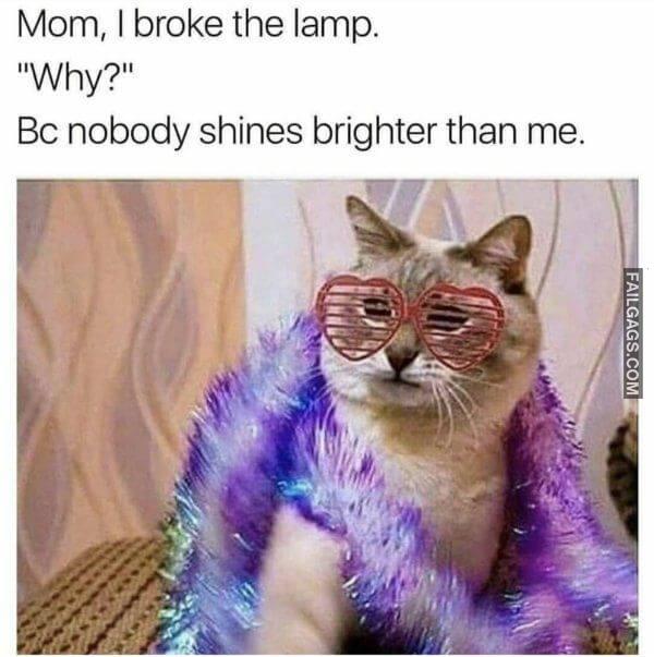 Random Funny Memes 2 12