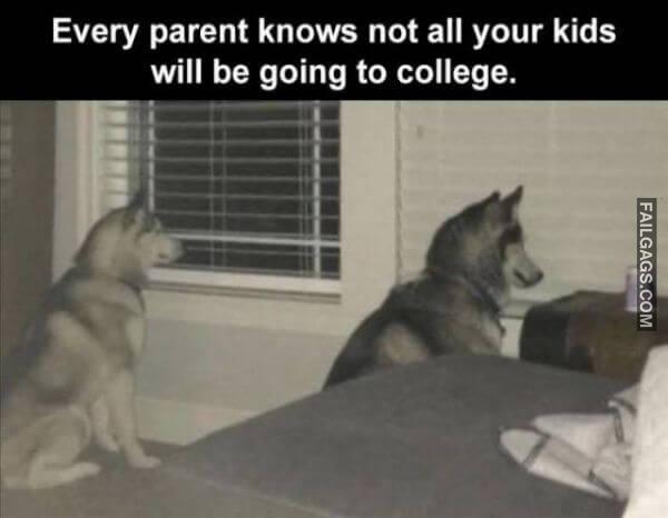 Random Funny Memes 3 2