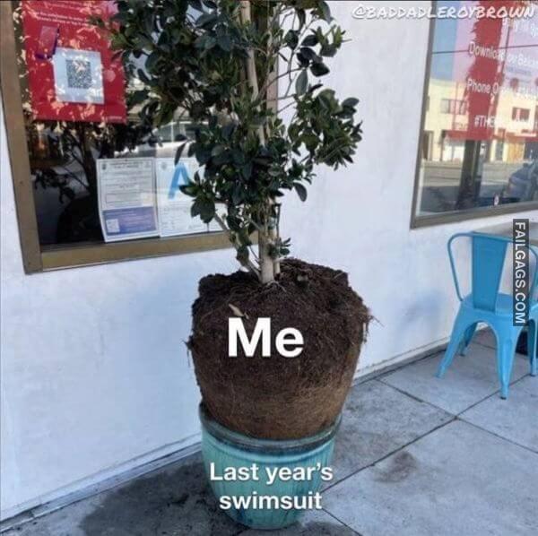 Random Funny Memes 4 2