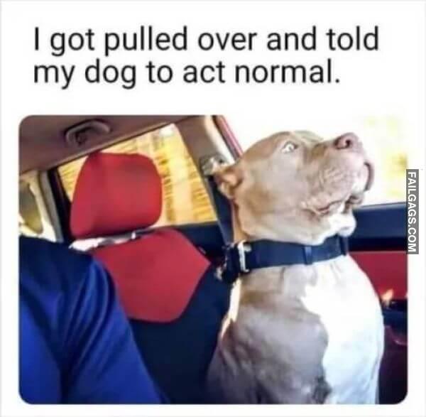 Random Funny Memes 4 9