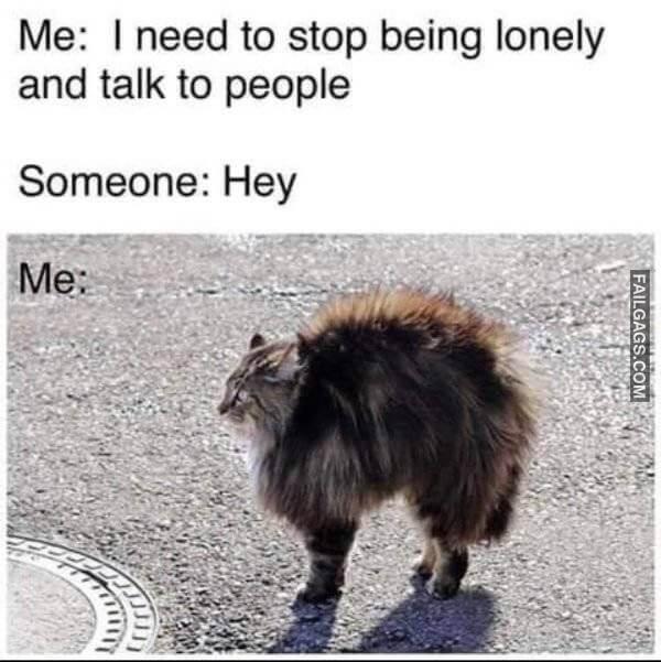 Random Funny Memes 5 7