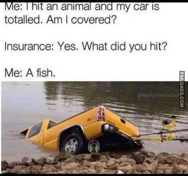 Random Funny Memes 6 6