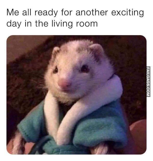 Random Funny Memes 6 8