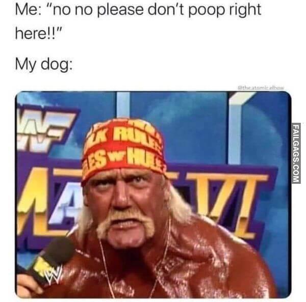 Random Funny Memes 7 8