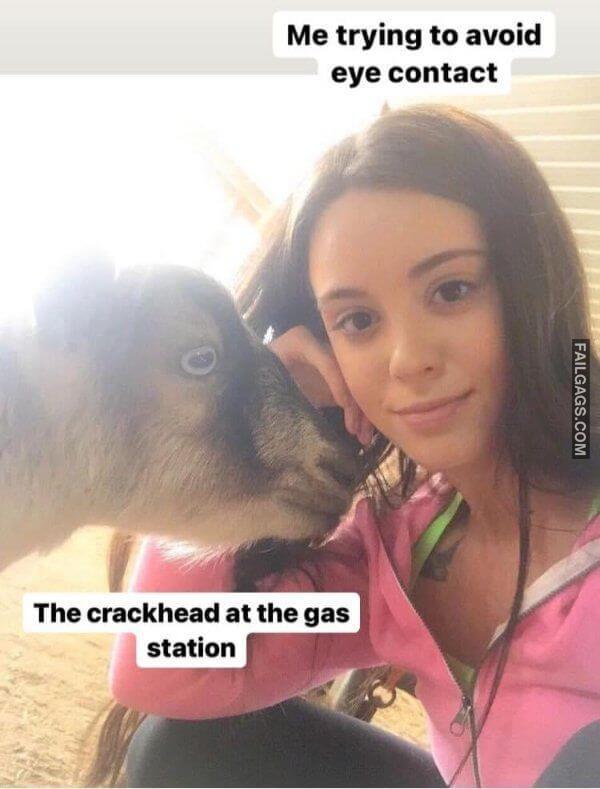 Random Funny Memes 9 2