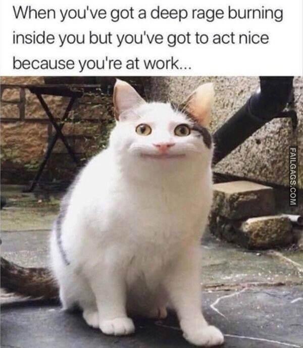 So True Memes 3