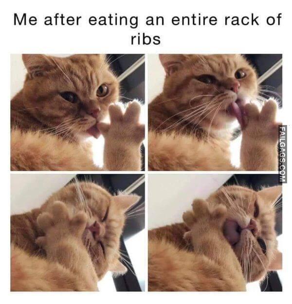 Random Funny Memes 1 1