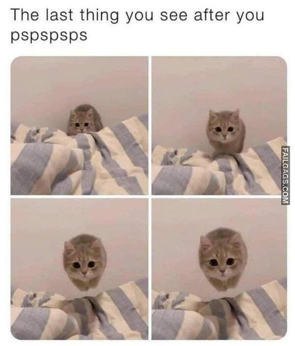 Random Funny Memes 10 4