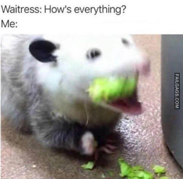 Random Funny Memes 13 1