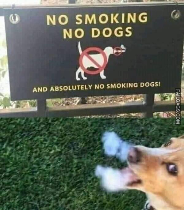 Random Funny Memes 2 2