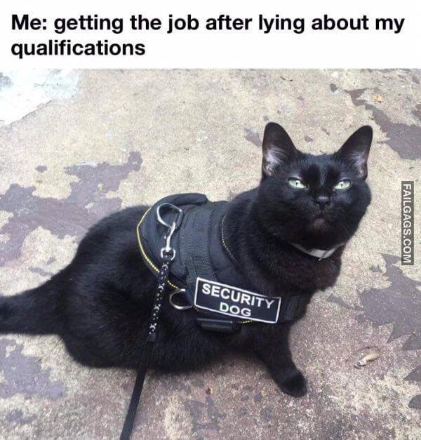 Random Funny Memes 2 4