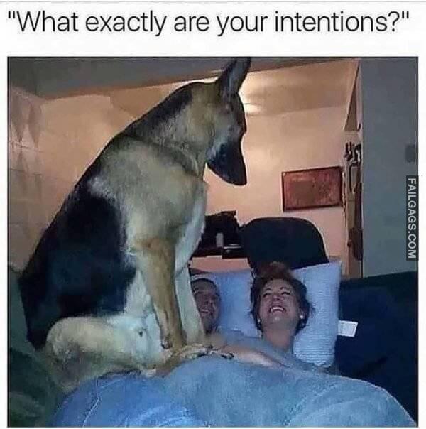 Random Funny Memes 3