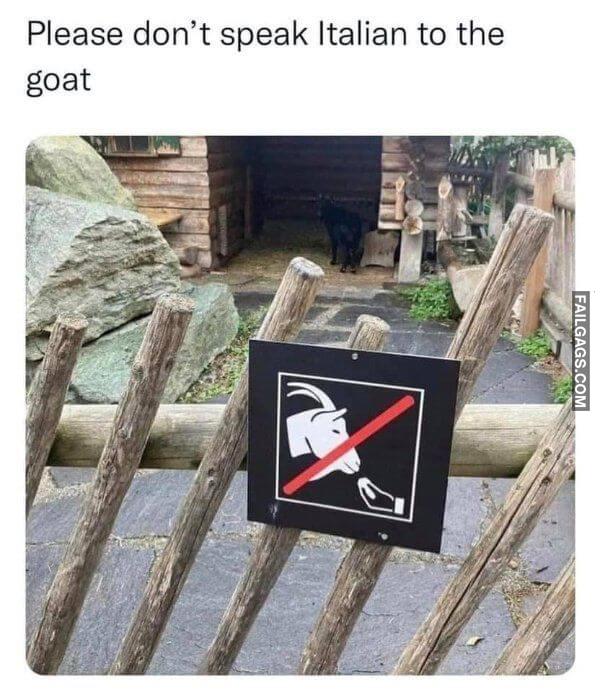 Random Funny Memes 9 4