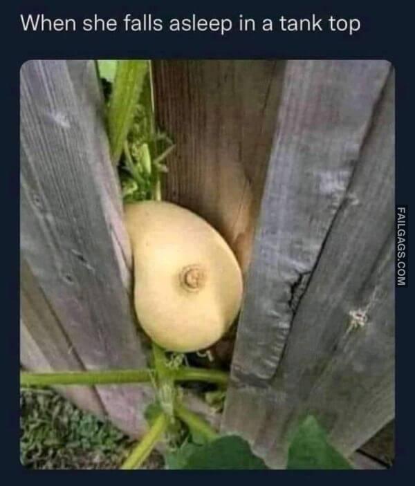 Funny 18 Adult Memes 6