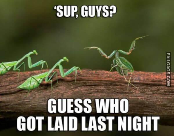 Funny 18 Naughty Adult Memes 13