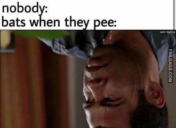 Funny Adult Memes 4 1
