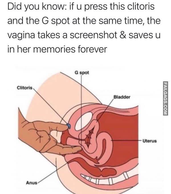 Funny Memes For Grown Ups 6