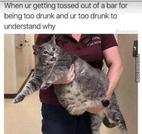 Random Funny Memes 1 8