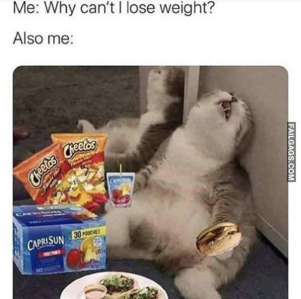 Random Funny Memes 10 5