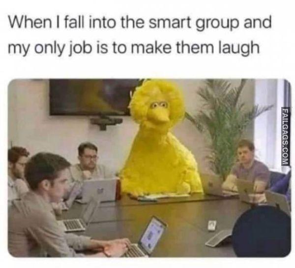 Random Funny Memes 11 5