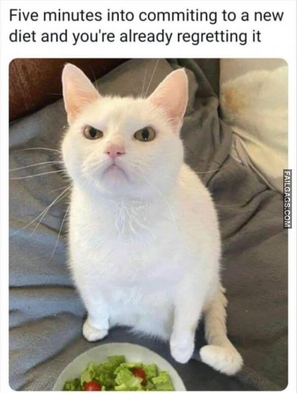 Random Funny Memes 12 1