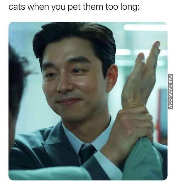 Random Funny Memes 3 11