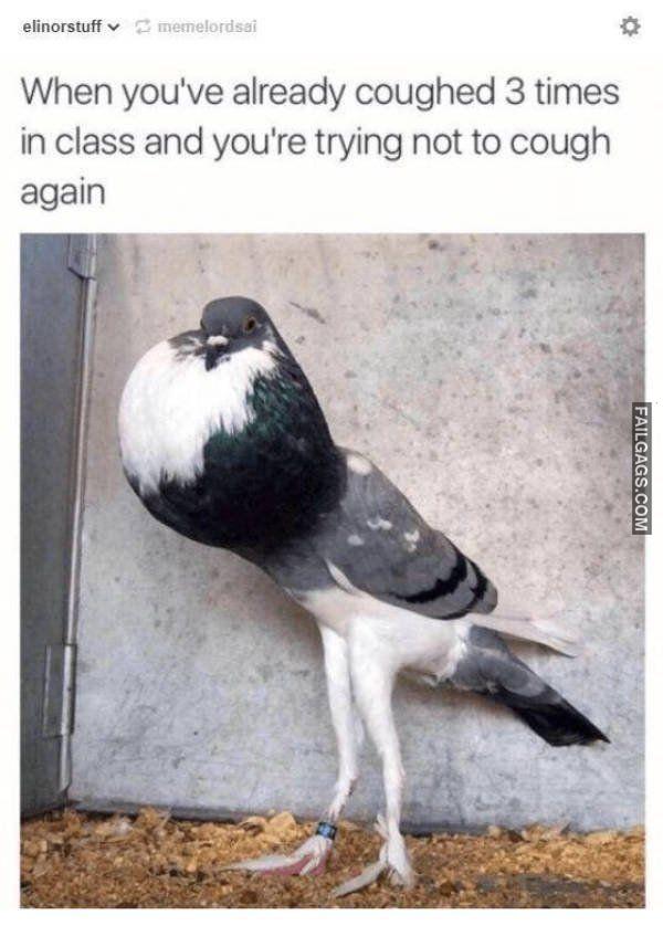 Random Funny Memes 3 5