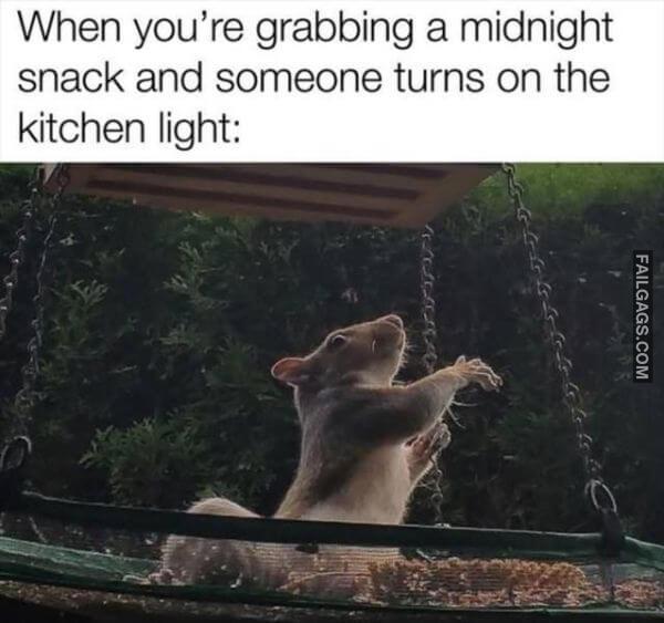 Random Funny Memes 4 2