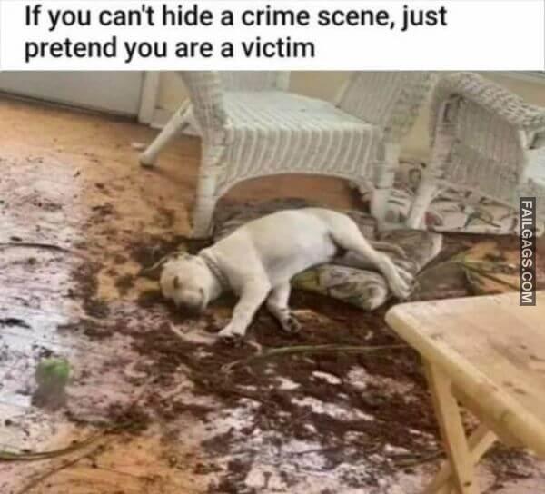 Random Funny Memes 5 10