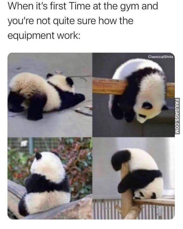Random Funny Memes 5 11