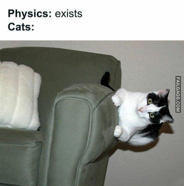 Random Funny Memes 5 8