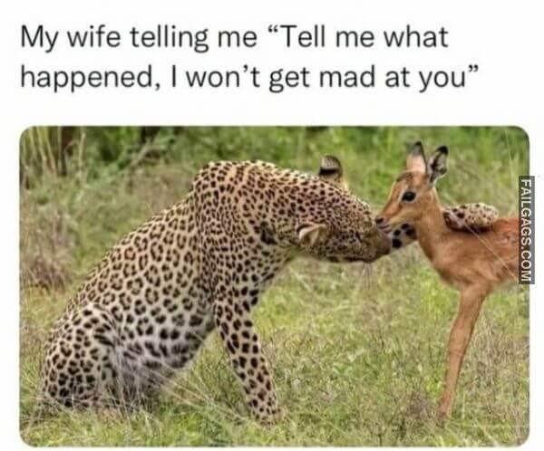 Random Funny Memes 6 7
