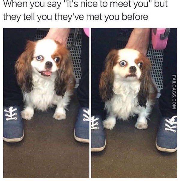 Random Funny Memes 7 5