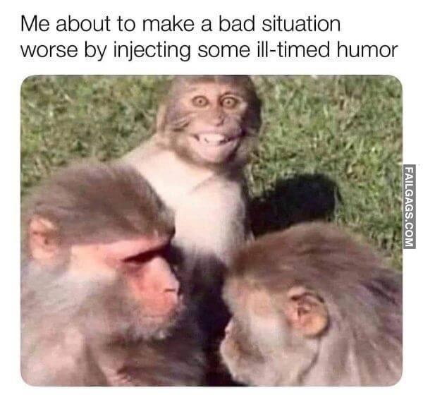 Random Funny Memes 7 8